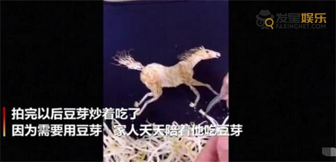厨师 学校厨师用豆芽制作动画片 详情画面令人啧啧称奇