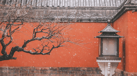 故宫的雪 看一场故宫的雪你才会明白，什么叫做一场雪，美了一座城