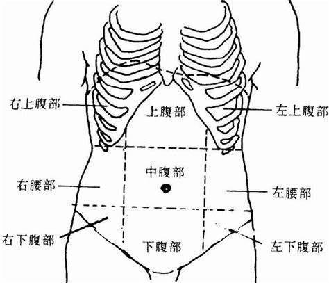肠子痛 经常肚子疼，有人说是胃痛，有人说是肠病：如何区别肠痛和胃痛？