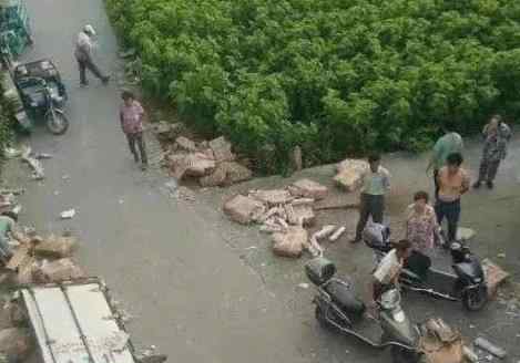 10吨猪肉翻车遭哄抢 市委致歉目前情况如何