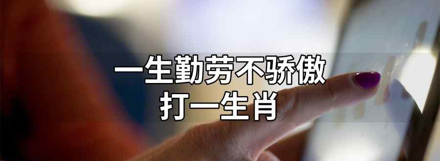 一生勤劳不骄傲打一生肖