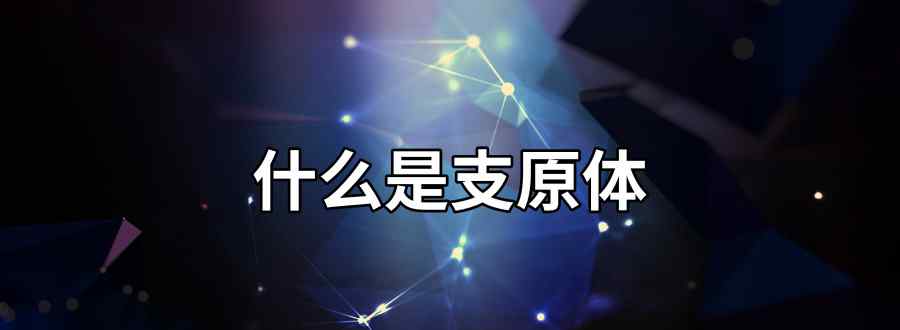什么是支原体