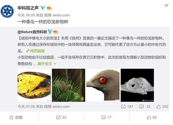 恐龙 迄今最小恐龙 比蜂鸟还要小重约2克颠覆认知