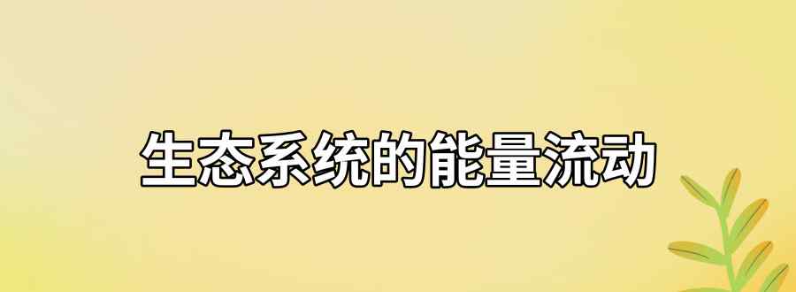 生态系统的能量流动