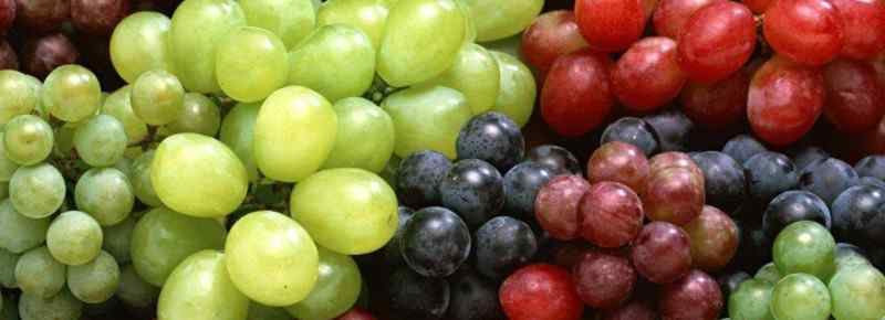 葡萄是酸性还是碱性