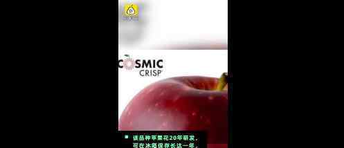 保质期一年苹果上市 苹果什么样能吃吗