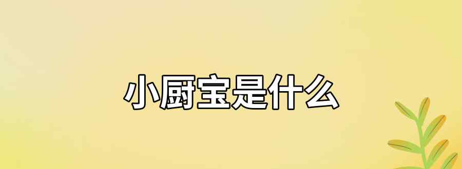 小厨宝是什么