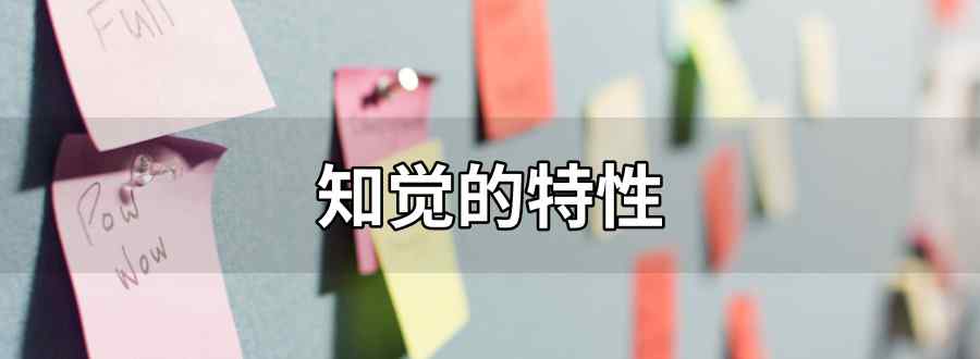 知觉的特性
