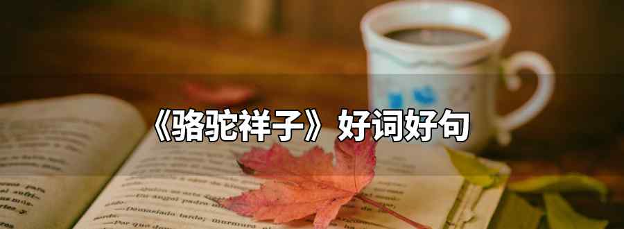 骆驼祥子好词好句