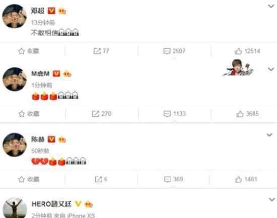 众星悼念高以翔 高以翔在节目中逝世?具体情况