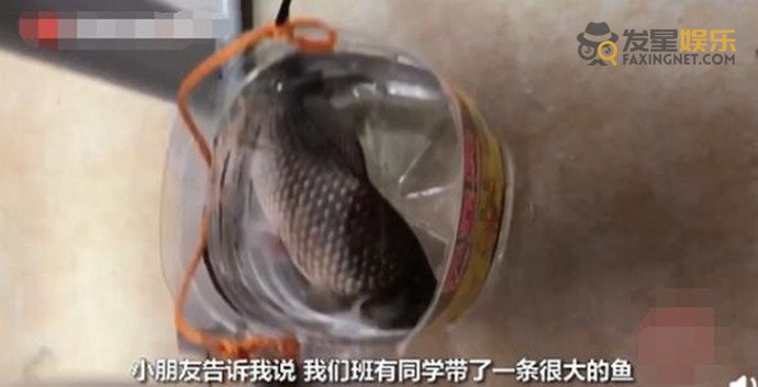 学生 学生带一斤重大鲫鱼上科学课 画风独特引人爆笑网友神点评