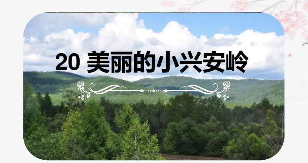 美丽的小兴安岭课文 部编版三年级上册第20课《美丽的小兴安岭》知识点+图文解读