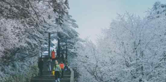 峨眉山2019年入冬第一场雪  首场积雪已达10厘米（图）