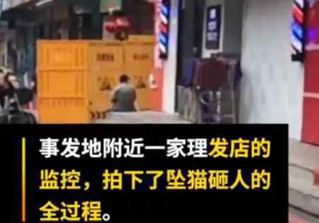 提供坠猫砸人视频老板玻璃被砸 到底发生了什么