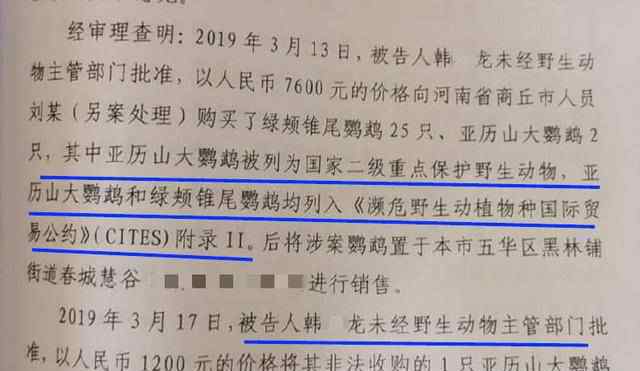 大学生售卖2只鹦鹉一审获刑6年 回顾事情经过