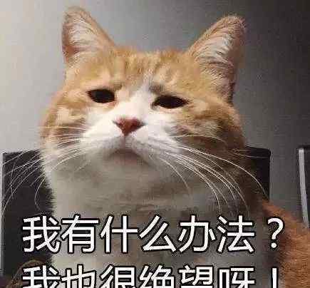 武汉网上处理交通违章 @所有武汉司机 异地违章动动手指就能处理了！