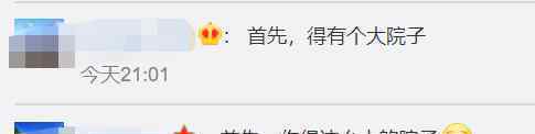 英国一男子为侄子建过山车 到底发生了什么