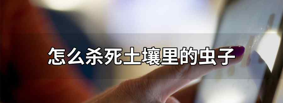 怎么杀死土壤里的虫子