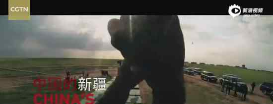 央视新疆反恐片 反恐片讲了什么在哪里可以看