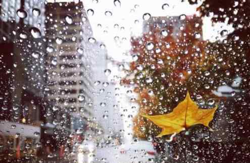 北方多地将迎入汛以来最强降雨 具体影响哪些城市