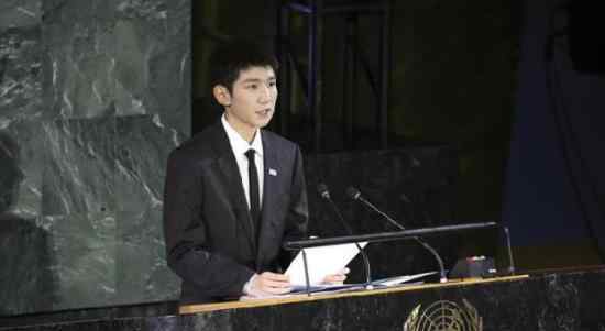 王源联合国发言王源联合国发言具体怎么回事