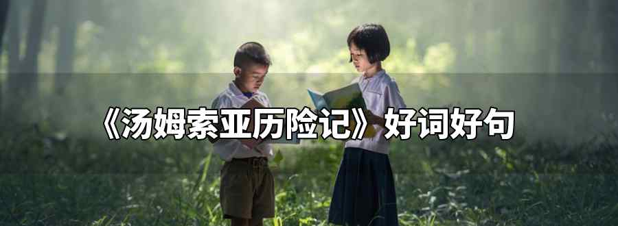 汤姆索亚历险记好词好句