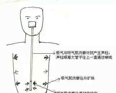 播音员主持人训练手册 播音主持基本功训练手册，学会这些技巧，你才能走的更远！