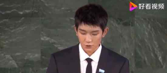 王源联合国发言  第三次联合国发言发言说了什么