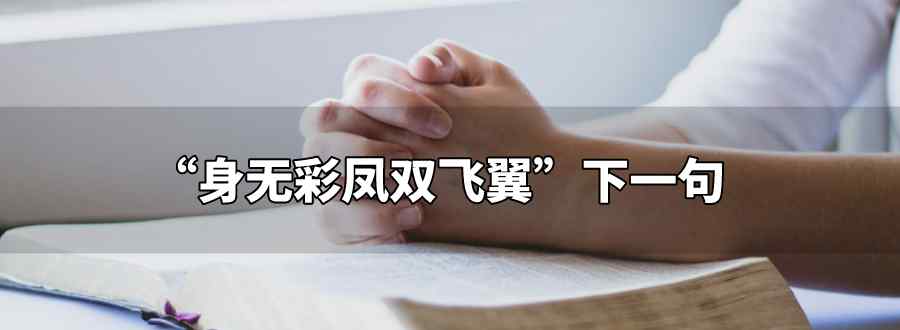身无彩凤双飞翼下一句
