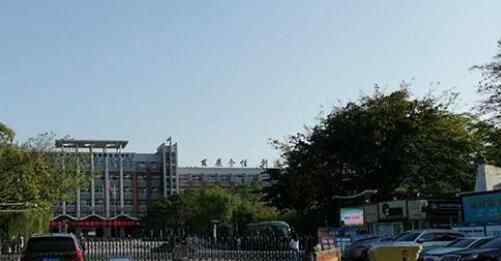 绵阳涉性骚扰教师已被开除 究竟发生了什么