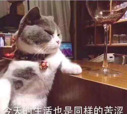 江山租房网 1340元/月！江山城区租房信息都在这里了！快看你租贵了没？