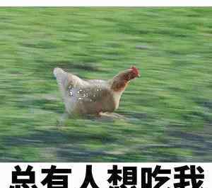 dinner是什么意思中文 《汉语知识》_流行语“吃鸡”什么意思？