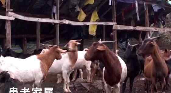 女子剁羊肉不慎溅到眼里 原因曝光太无语
