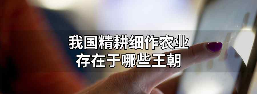 我国精耕细作农业存在于哪些王朝