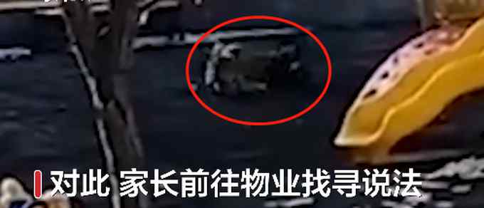 小区内流浪狗连咬2小孩 物业：没办法 找不到主人 引网友讨论