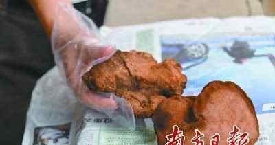 棺材阿魏 迁祖坟挖出“血灵芝” 能治百病价值百万？