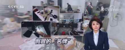 全球最大跨国假LV案告破 跨国假LV是什么情况