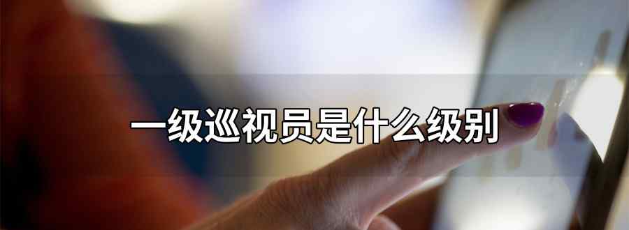 一级巡视员是什么级别