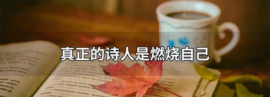 真正的诗人是燃烧自己