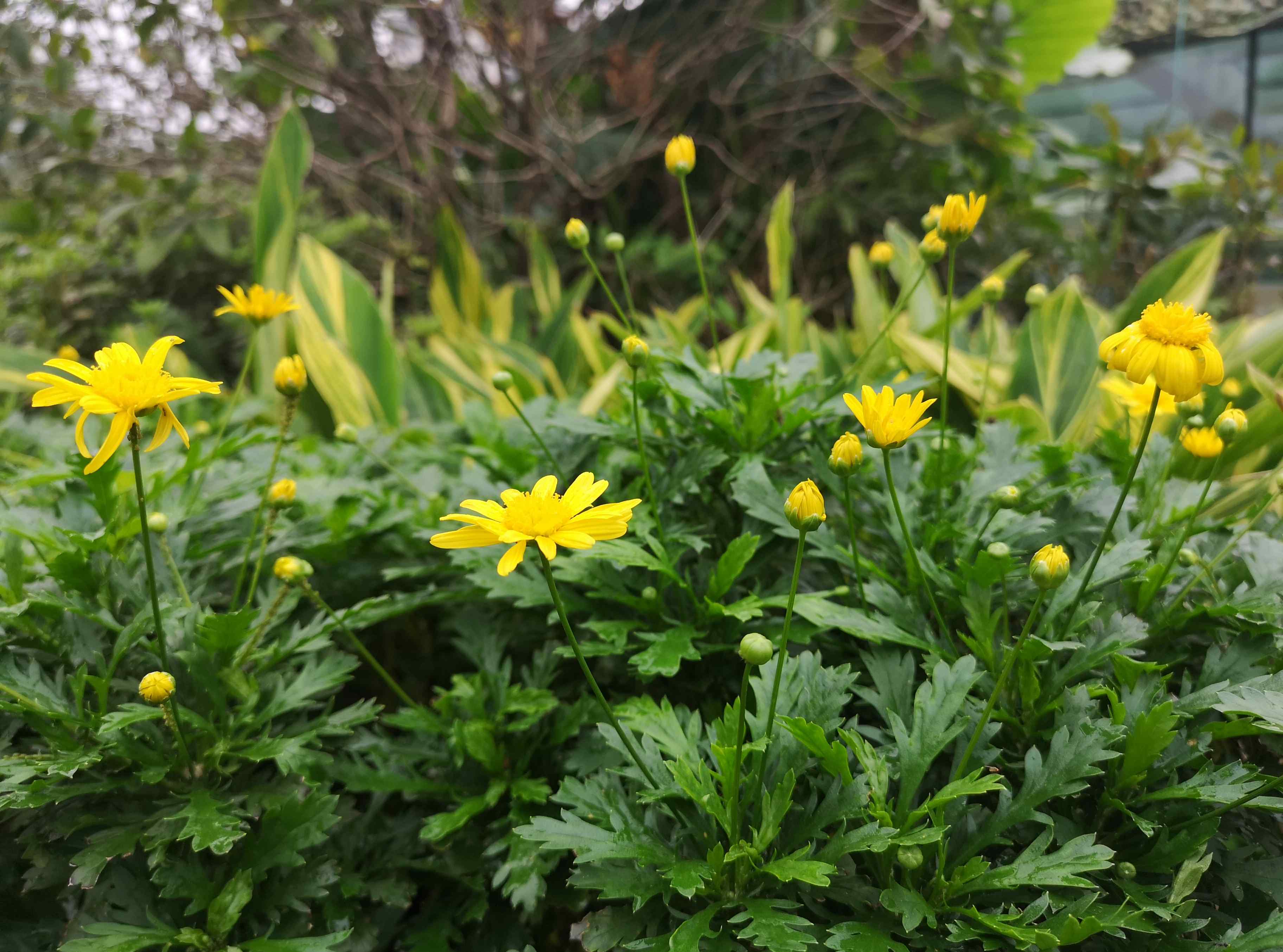 描写秋天的现代诗 描写四季的诗歌锦集