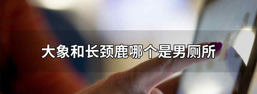 大象和长颈鹿哪个是男厕所