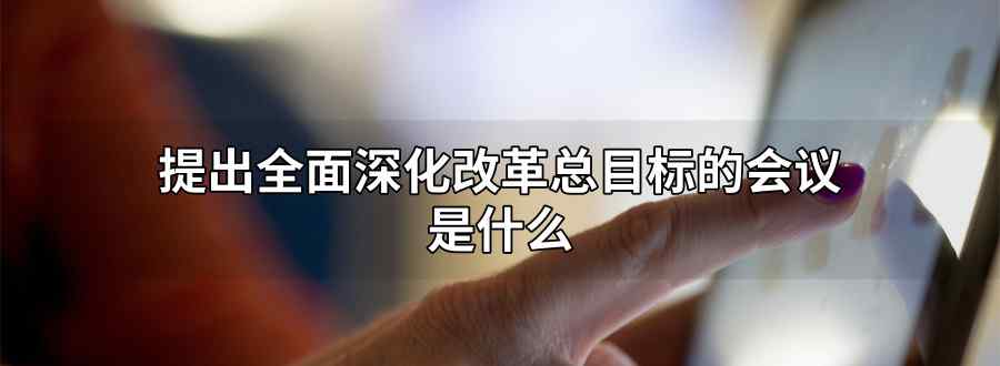 "提出全面深化改革总目标的会议是 "