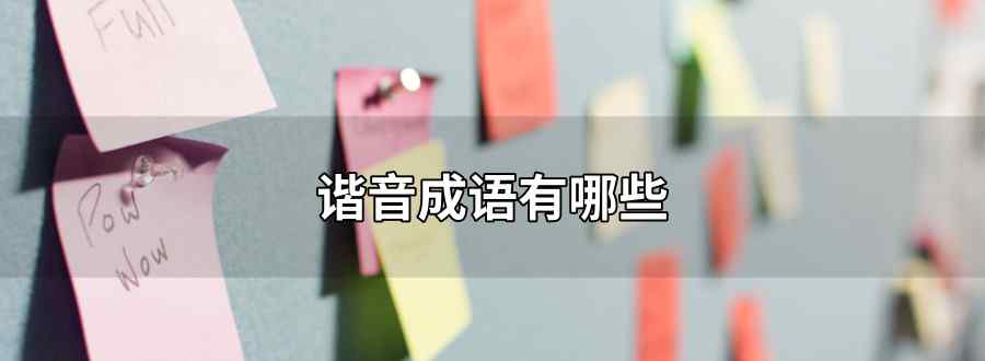 谐音成语