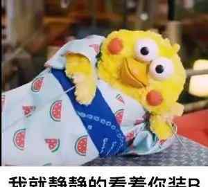上海短租一个月 上海租房血泪史，你知道的不知道的都在这……文章配图