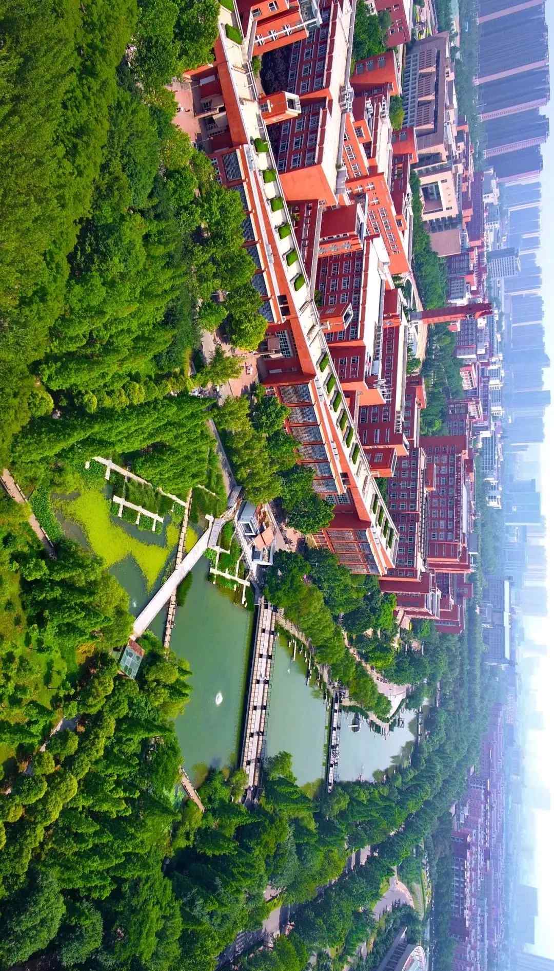 教育管理学 郑大郑州大学教育管理895教育管理学2016 2017年2018年考研真题试题答案参考书