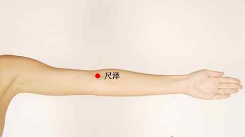 尺泽的准确位置图 尺泽穴的准确位置图
