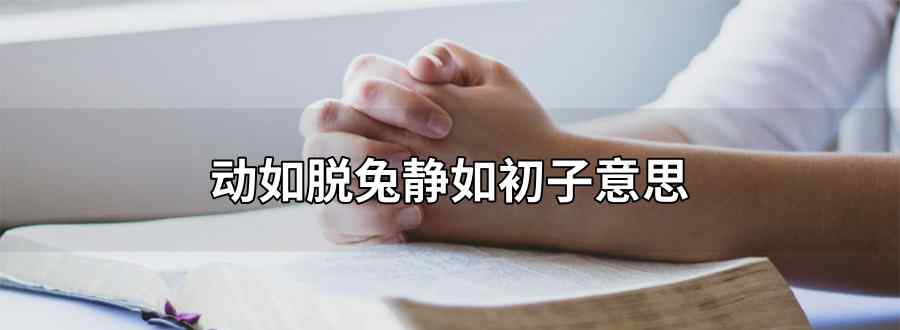 动如脱兔静如初子意思