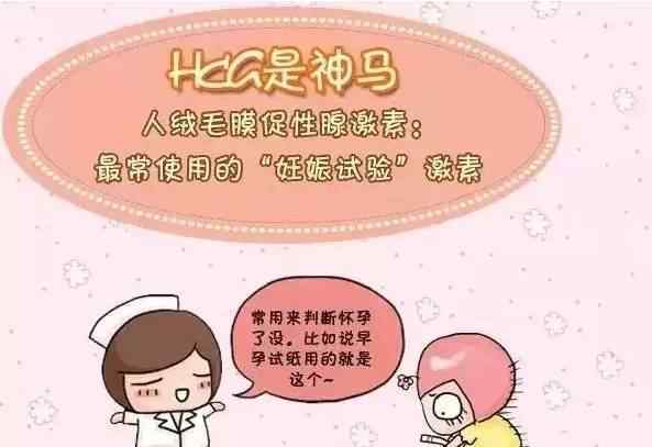 孕6周hcg正常值 哎！你HCG比我低多了！”，你该涨姿势了吧？