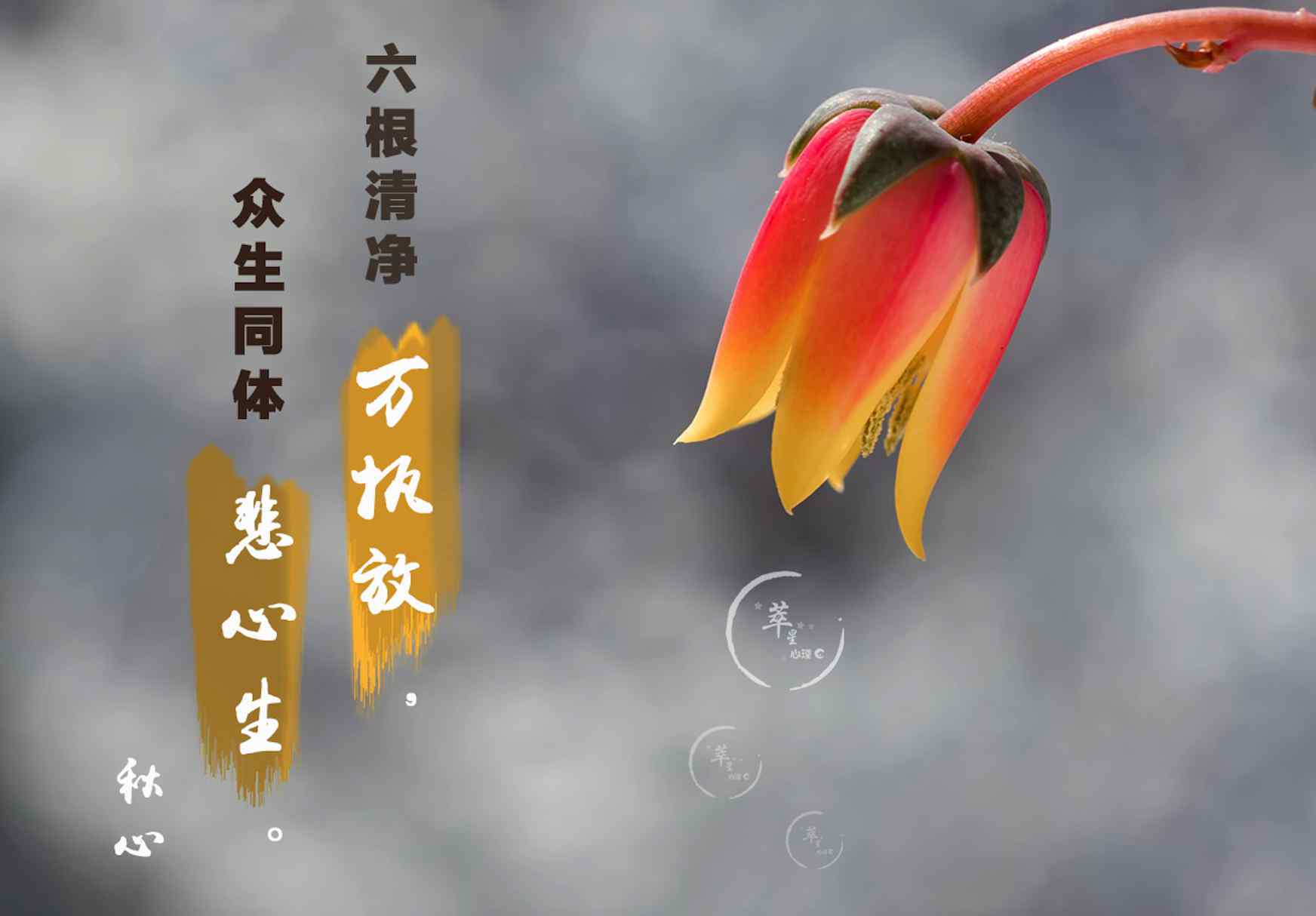 我愿爱 我愿爱众生，如同爱你
