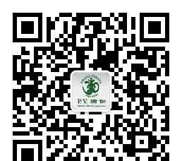 萨达 萨达纳 | 传统瑜伽的根源